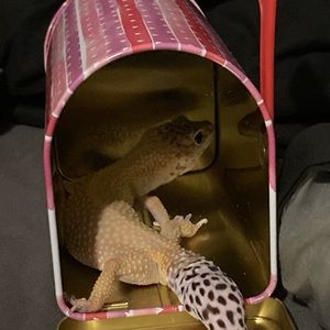 Meet your Posher, Bailee